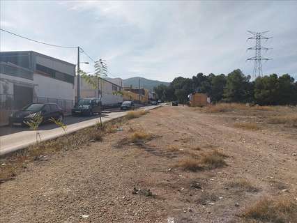 Parcela rústica en venta en Murcia zona El Palmar