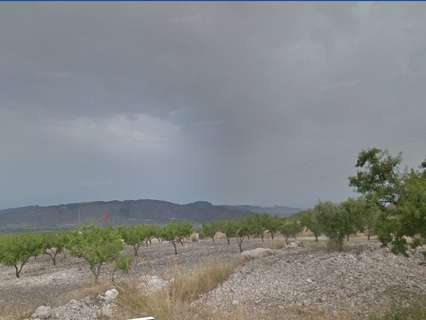 Parcela rústica en venta en Fuente Álamo de Murcia