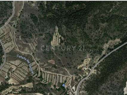 Parcela rústica en venta en Fortuna