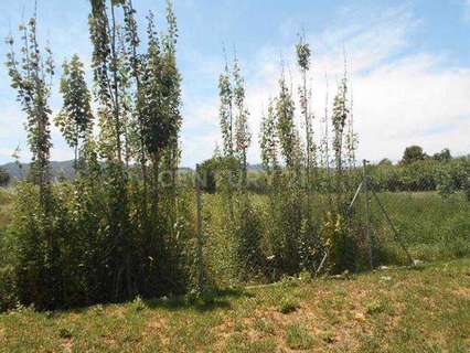 Parcela rústica en venta en Murcia