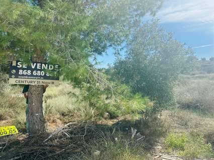 Parcela rústica en venta en Molina de Segura