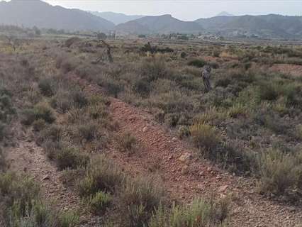 Parcela rústica en venta en Abanilla