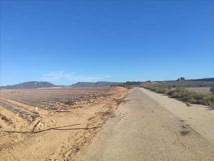 Parcela rústica en venta en Murcia