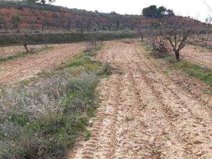 Parcela rústica en venta en Yecla