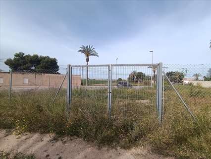 Parcela rústica en venta en Torre-Pacheco