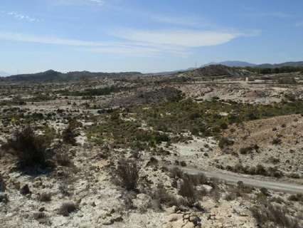 Parcela rústica en venta en Murcia zona La Pareja (Baños Y Mendigo)