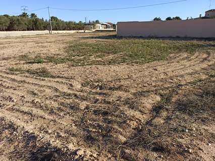 Parcela rústica en venta en Elche/Elx