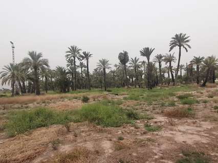 Parcela rústica en venta en Elche/Elx