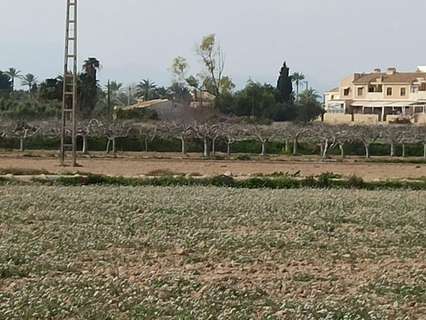 Parcela rústica en venta en Elche/Elx