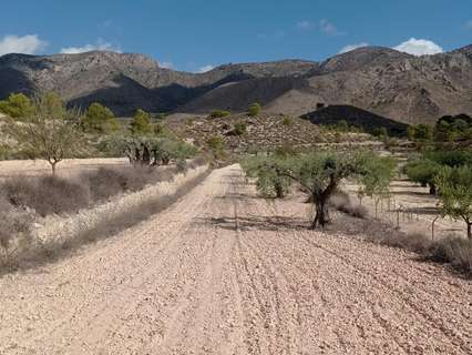 Parcela rústica en venta en Hondón de las Nieves