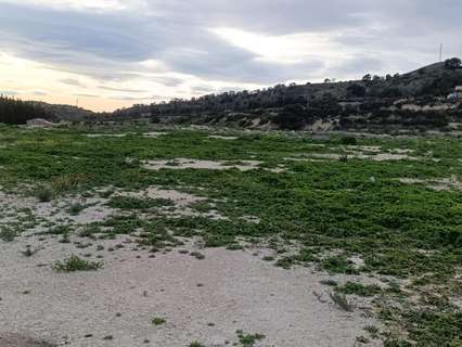 Parcela rústica en venta en Aspe