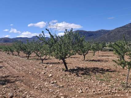 Parcela rústica en venta en Monóvar/Monòver