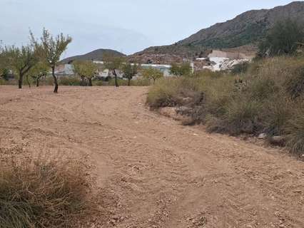 Parcela rústica en venta en La Romana