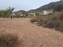 Parcela rústica en venta en La Romana