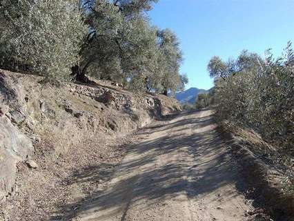 Parcela en venta en Canillas de Albaida