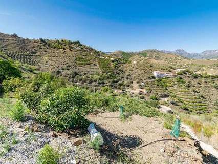 Cortijo en venta en Torrox