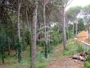 Parcela en venta en Calonge