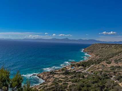 Parcela en venta en Llucmajor