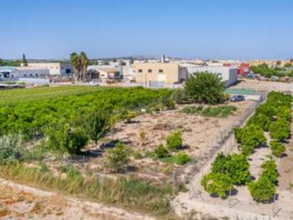 Parcela en venta en Formentera del Segura