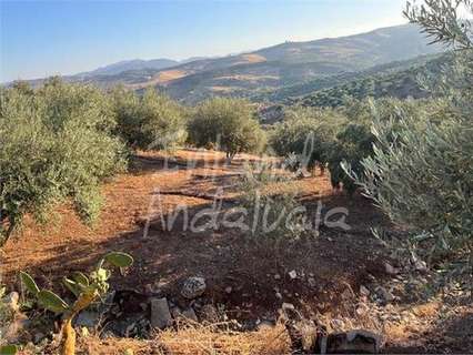 Parcela en venta en Periana