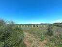 Parcela en venta en Llucmajor