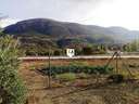 Parcela en venta en Fuensanta de Martos