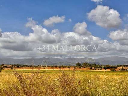 Apartamento en venta en Santa Eugènia