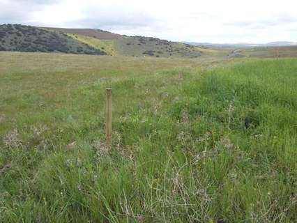 Parcela rústica en venta en Granátula de Calatrava