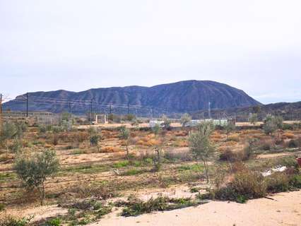 Parcela rústica en venta en Alicante