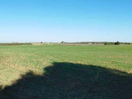 Parcela rústica en venta en Puerto Real