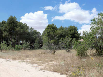 Parcela rústica en venta en Caravaca de la Cruz rebajada