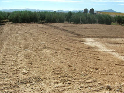 Parcela rústica en alquiler en Fuente Álamo de Murcia