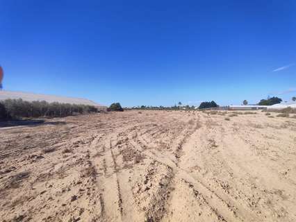 Parcela rústica en venta en Elche/Elx