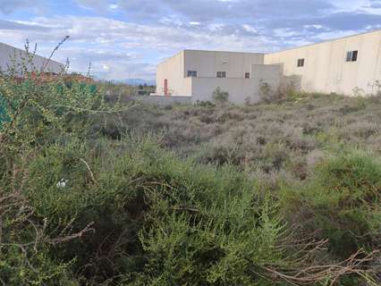 Parcela rústica en venta en Benijófar