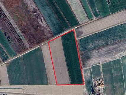 Parcela rústica en venta en Crevillent