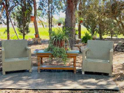 Casa rústica en alquiler en Catral