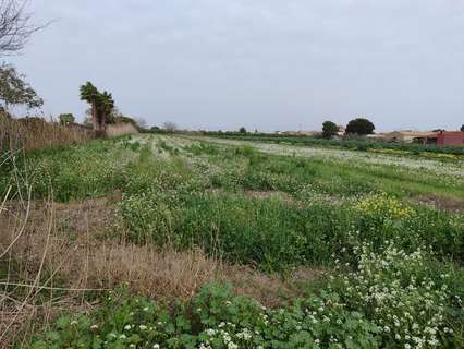 Parcela rústica en venta en Dolores