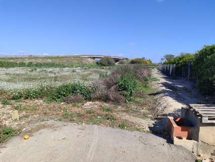 Parcela rústica en venta en Formentera del Segura
