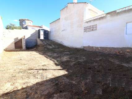 Parcela rústica en venta en Benijófar