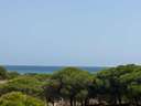 Apartamento en venta en Guardamar del Segura