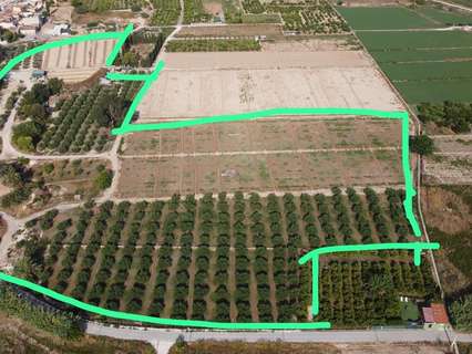 Parcela rústica en venta en Benijófar