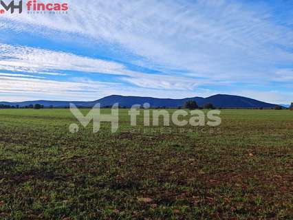 Parcela rústica en venta en Belvís de la Jara