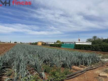 Parcela rústica en alquiler en Sevilla