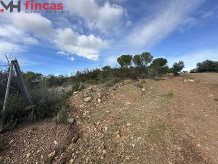Parcela rústica en venta en El Ronquillo