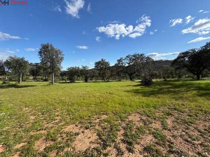 Parcela rústica en venta en Almonaster la Real