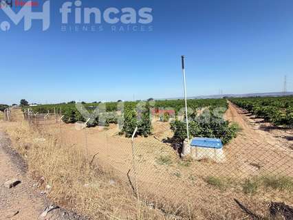 Parcela rústica en venta en Cantillana