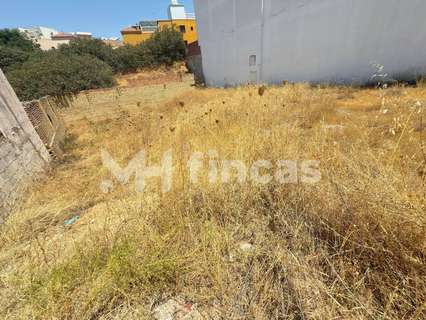 Parcela rústica en venta en Alcalá de Guadaíra rebajada