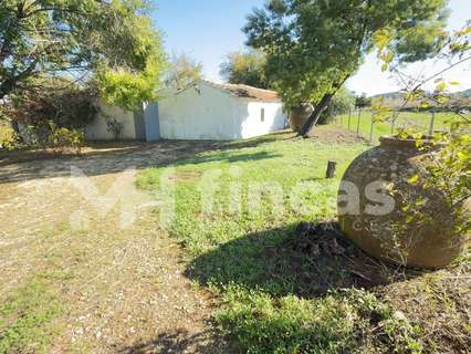 Parcela rústica en venta en Cazalla de la Sierra