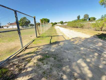 Parcela rústica en venta en Almonte