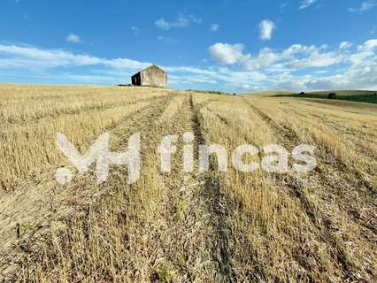 Parcela rústica en venta en Utrera